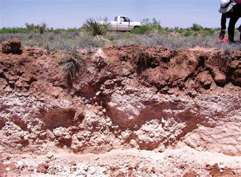 will mini excavator dig in caliche|caliche soil diagram.